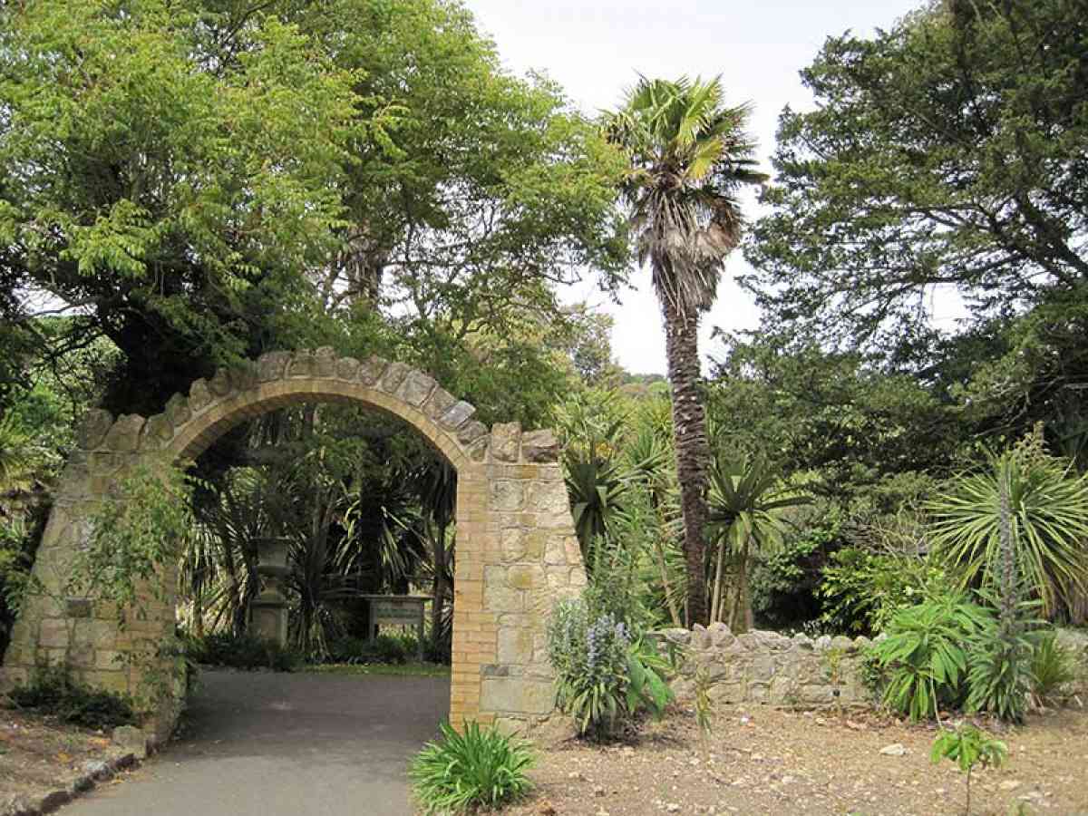 Ventnor Botanic Garden picture gallery